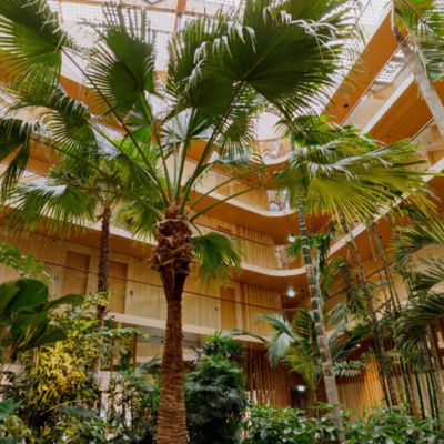  360º photo subtropical indoor garden